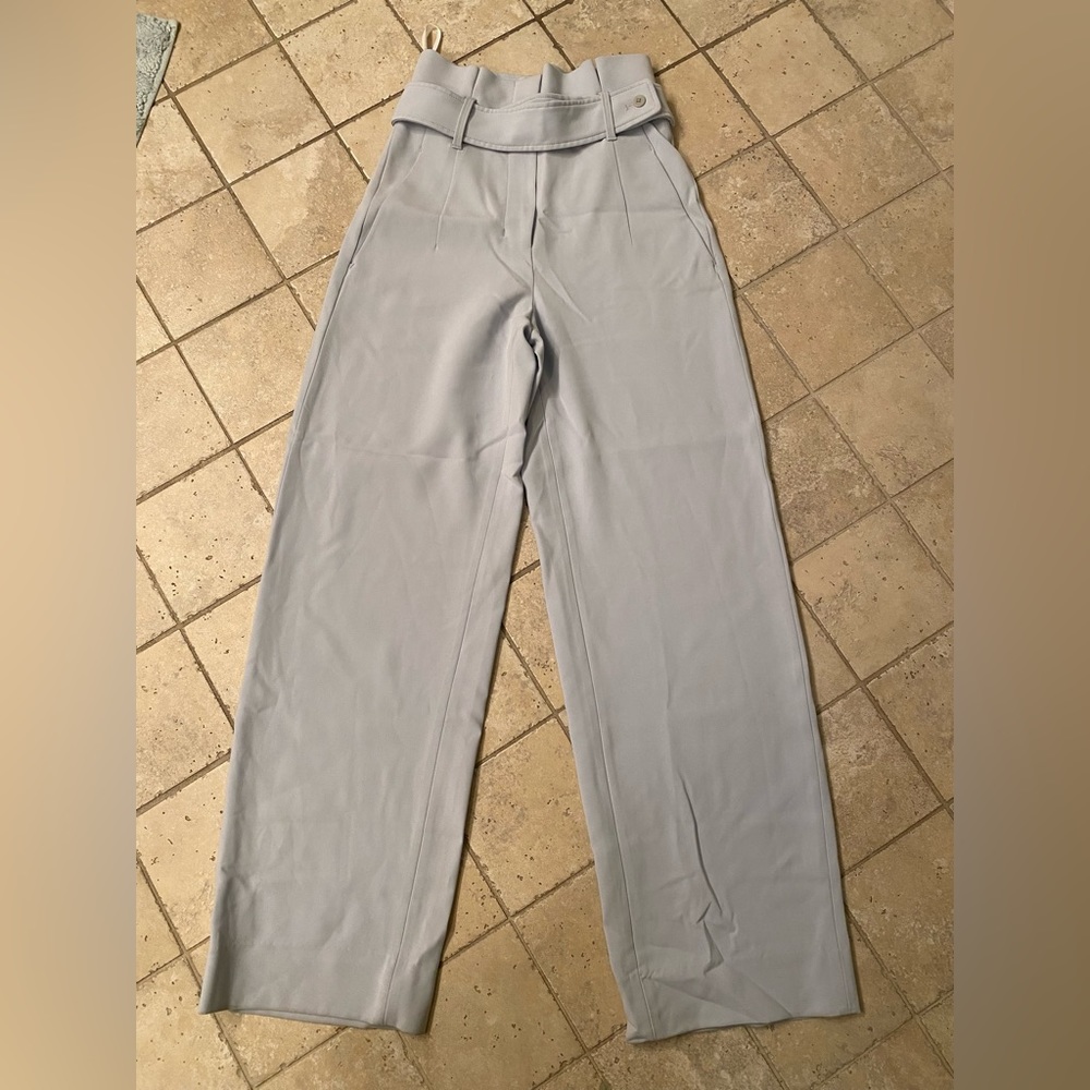 Aritzia Babaton Highwaisted Pants